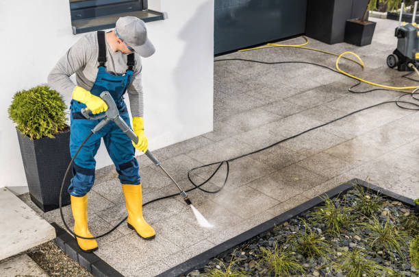 Best Exterior Home Cleaning  in Arcadia, SC